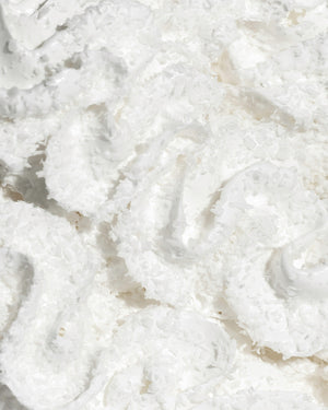 Toothpaste Coconut